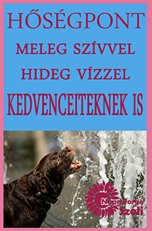 HŐSÉGPONT kedvencednek